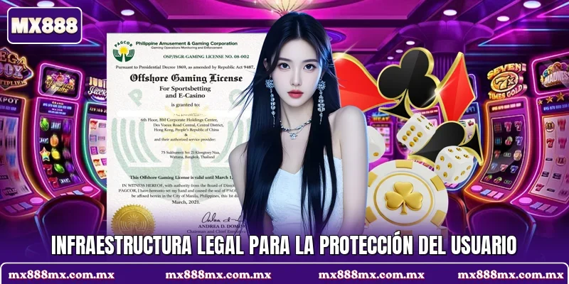 Infraestructura legal para la protección del usuario